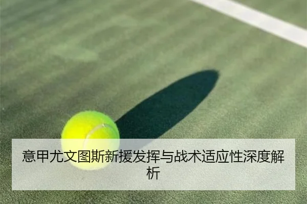 意甲尤文图斯新援发挥与战术适应性深度解析